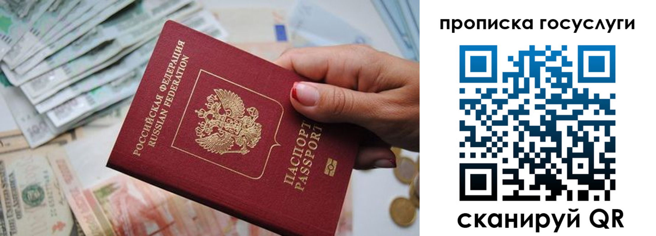 прописка поиск в Железногорске